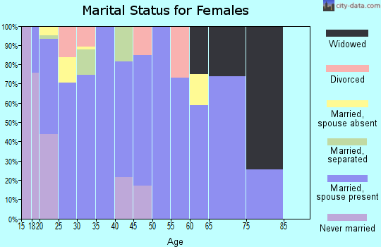 Zip code 42635 marital status for females