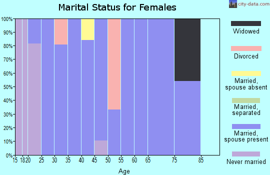 Zip code 43067 marital status for females