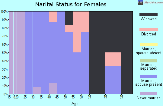 Zip code 43077 marital status for females