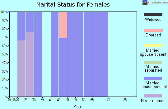 Zip code 43333 marital status for females