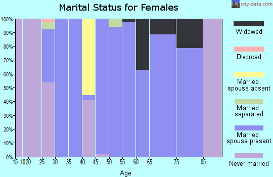 Zip code 43511 marital status for females
