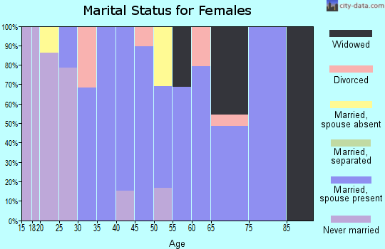 Zip code 43542 marital status for females