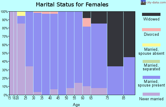 Zip code 43804 marital status for females