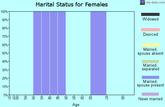 Zip code 43842 marital status for females