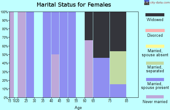 Zip code 45172 marital status for females