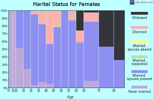Zip code 45306 marital status for females