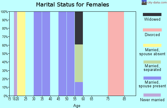 Zip code 45353 marital status for females