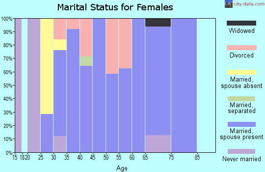 Zip code 45378 marital status for females