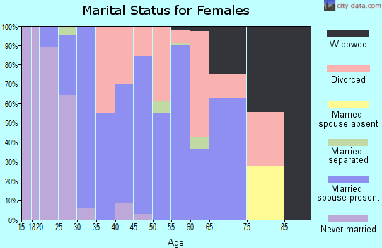 Zip code 45613 marital status for females