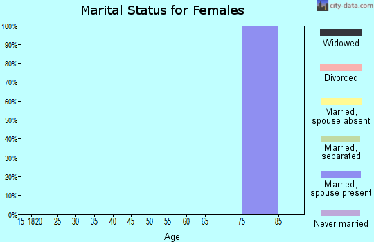 Zip code 45624 marital status for females