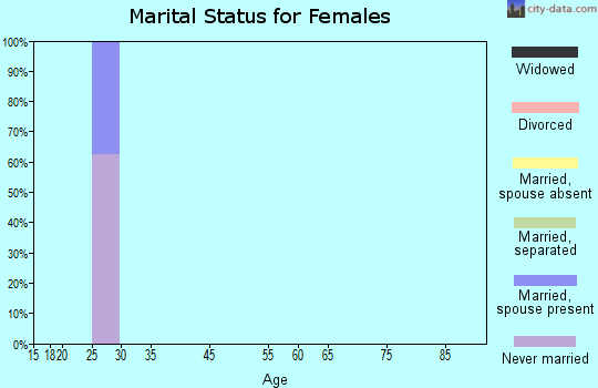 Zip code 45642 marital status for females