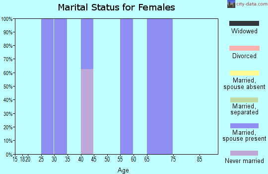 Zip code 45673 marital status for females
