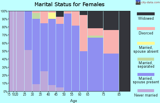 Zip code 46040 marital status for females