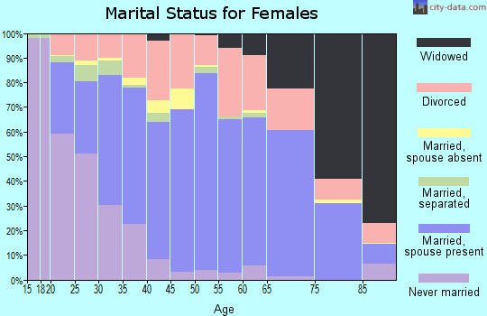Zip code 46041 marital status for females