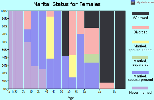Zip code 46063 marital status for females