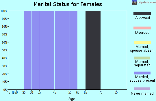 Zip code 46102 marital status for females