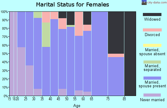 Zip code 46106 marital status for females