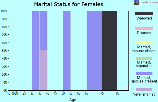Zip code 46110 marital status for females