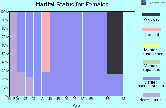Zip code 46340 marital status for females