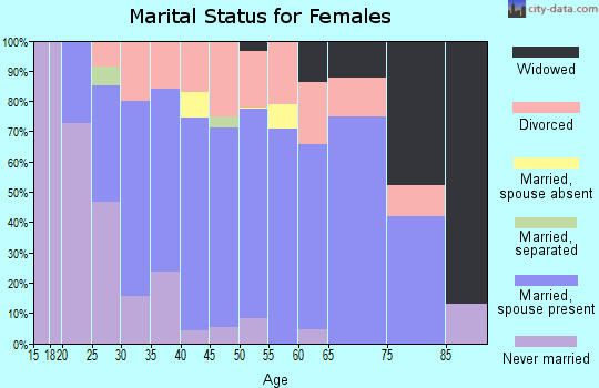 Zip code 46341 marital status for females