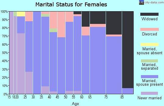 Zip code 46347 marital status for females