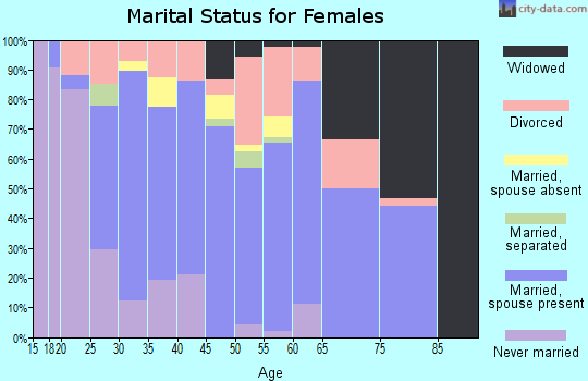 Zip code 46504 marital status for females