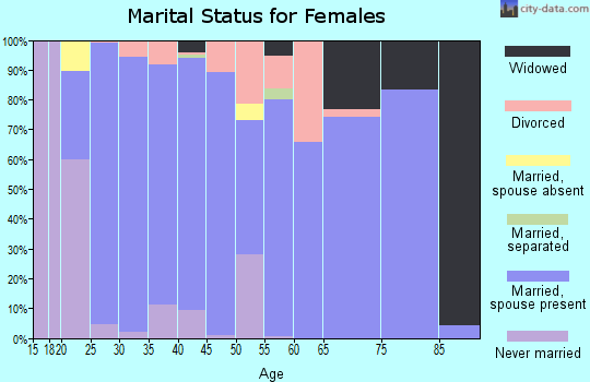 Zip code 46510 marital status for females