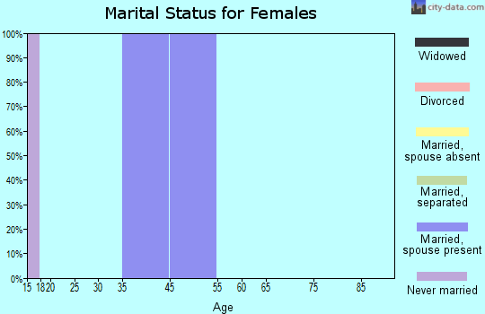 Zip code 46513 marital status for females