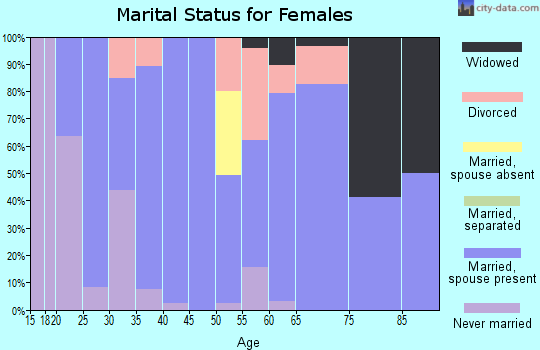 Zip code 46524 marital status for females