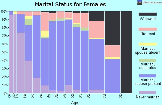 Zip code 46528 marital status for females