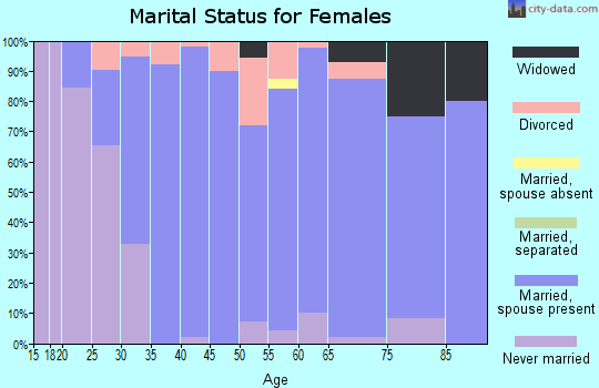 Zip code 46536 marital status for females