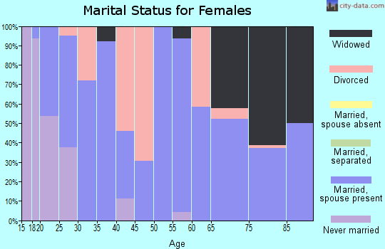 Zip code 46539 marital status for females