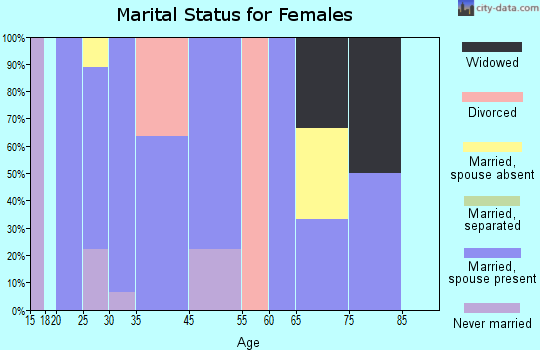Zip code 46566 marital status for females