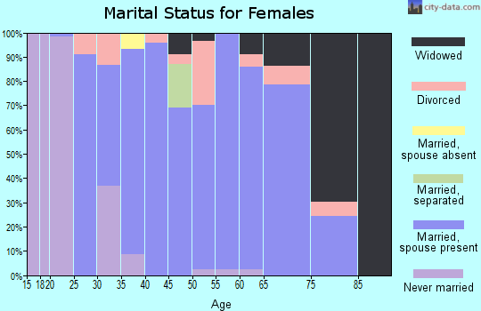 Zip code 46917 marital status for females
