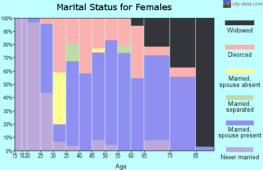 Zip code 46919 marital status for females