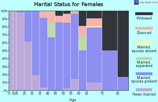 Zip code 46939 marital status for females