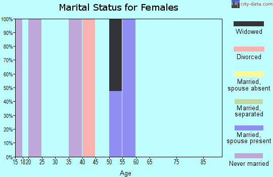 Zip code 46943 marital status for females