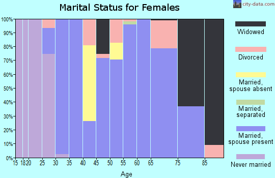 Zip code 46951 marital status for females