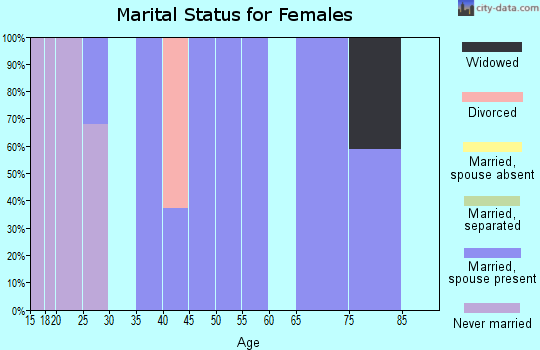 Zip code 46990 marital status for females