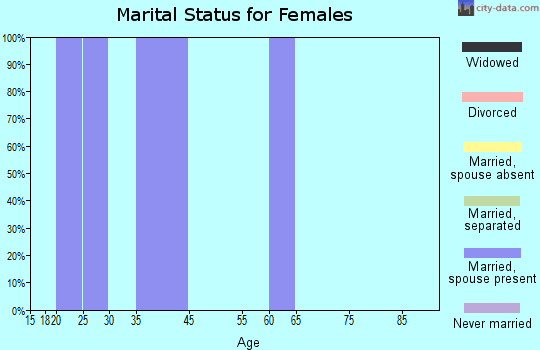Zip code 47139 marital status for females