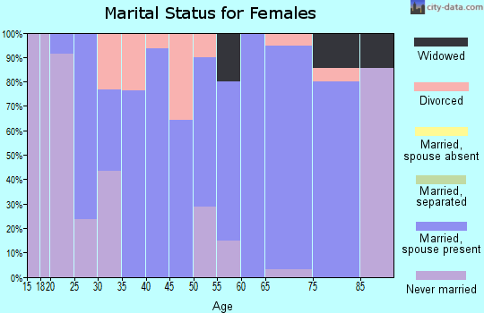 Zip code 47541 marital status for females