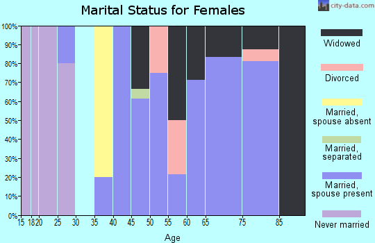 Zip code 47861 marital status for females