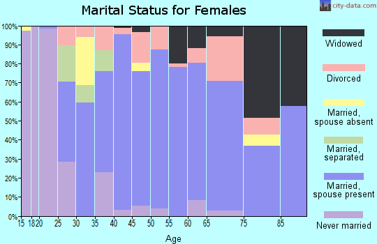 Zip code 48041 marital status for females