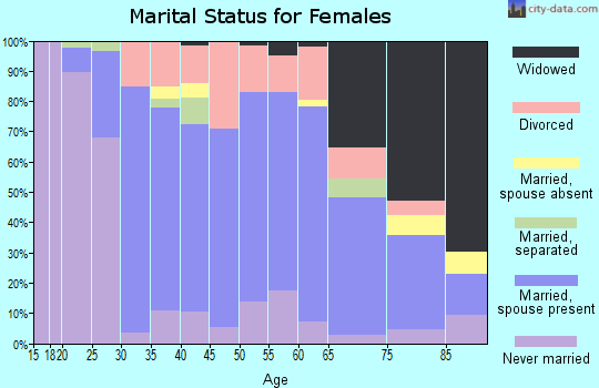 Zip code 48128 marital status for females