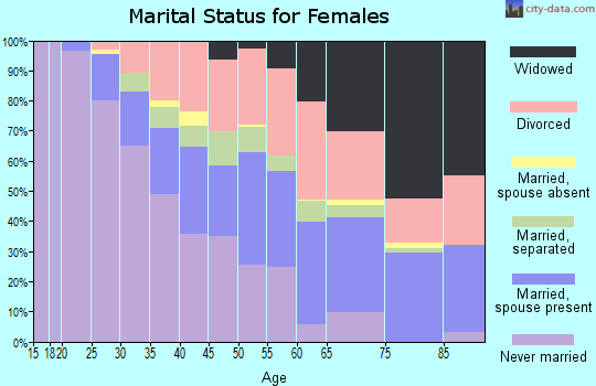 Zip code 48141 marital status for females