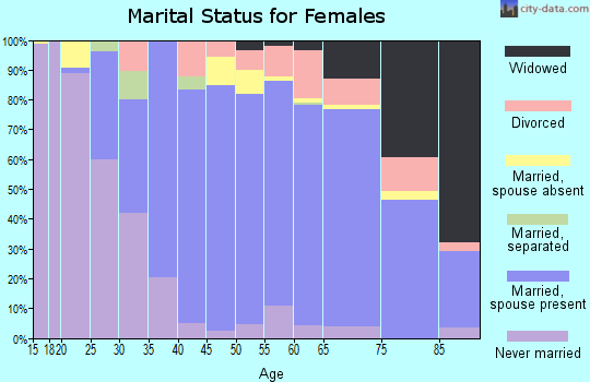 Zip code 48304 marital status for females