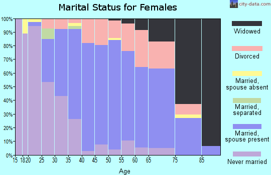 Zip code 48381 marital status for females