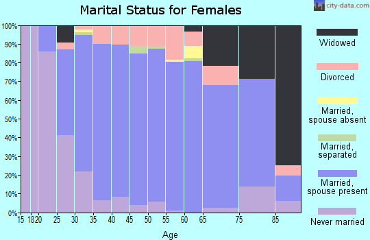 Zip code 48382 marital status for females
