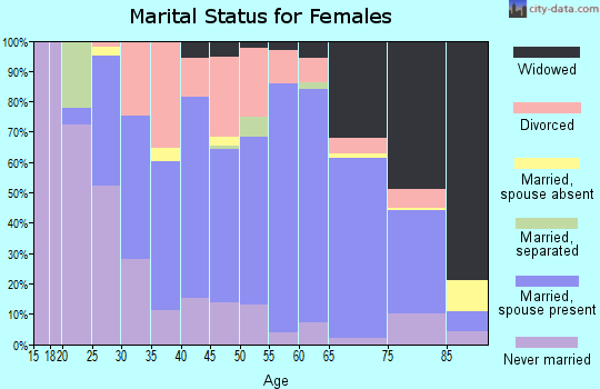 Zip code 48413 marital status for females