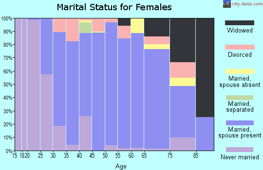 Zip code 48428 marital status for females